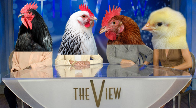 Entire Cast Of The View, Replaced With Chickens